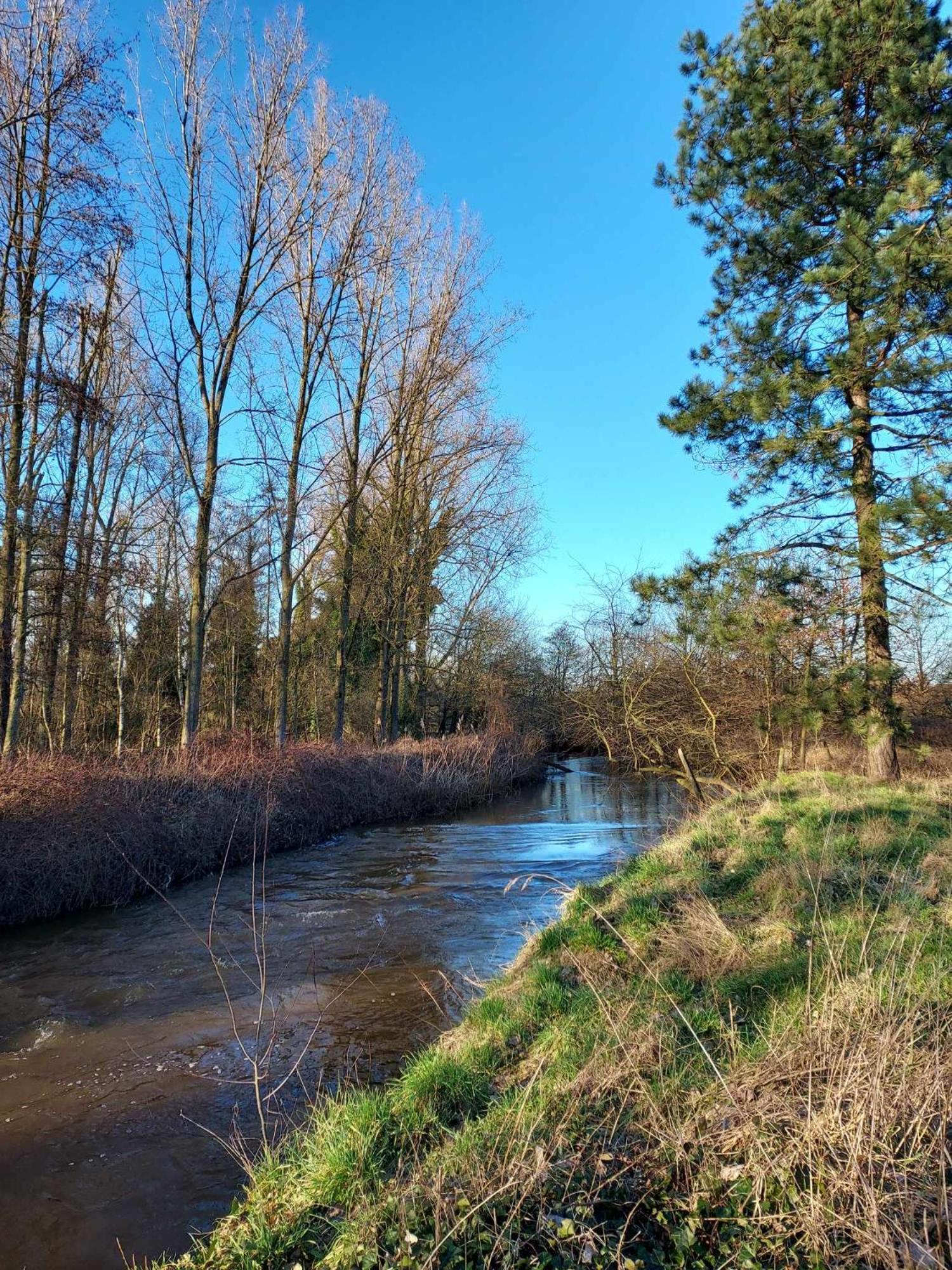 Rustig Gelegen Chalet Kapeki Met Tuin Aan Het Water Geel Exterior photo