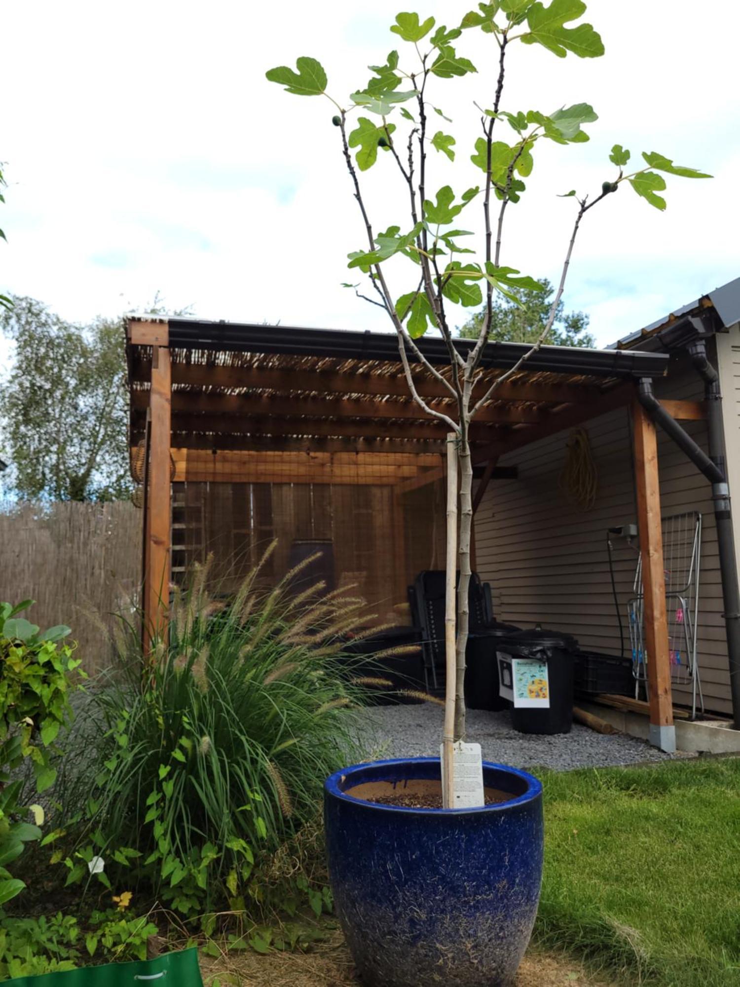 Rustig Gelegen Chalet Kapeki Met Tuin Aan Het Water Geel Exterior photo